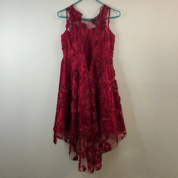 Rare Editions Big Girls Floral Soutache High-Low Social Dress, Size 14